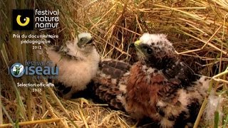 Reproduction sexuée - Conditions des milieux de vie - Vidéos pédagogiques - SVT : 10ème Harmos