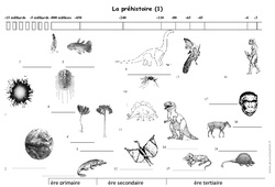 Préhistoire - Frise chronologique - Exercices corrigés : 5ème Harmos - PDF à imprimer