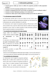 Information génétique - Cours - SVT : 11ème Harmos - PDF à imprimer