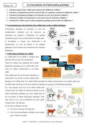 Transmission de l'information génétique - Cours - SVT : 11ème Harmos - PDF à imprimer