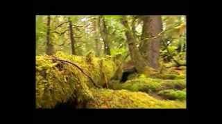 Evolution des êtres vivants - Vidéos pédagogiques - SVT : 11ème Harmos