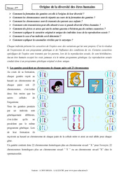 Origine de la diversité des êtres humains - Cours - SVT : 11ème Harmos - PDF à imprimer