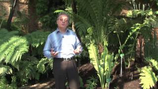 Evolution biologique et environnement - Vidéos pédagogiques - SVT : 11ème Harmos