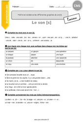 Mettre en évidence les différentes graphies du son [S] - Exercices  : 6ème Harmos - PDF à imprimer