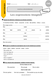 Je comprends des expressions imagées - Exercices  : 7ème Harmos - PDF à imprimer