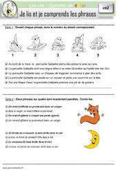 Je lis et je comprends les phrases et les mots - Gamme de lecture : 5ème Harmos - PDF à imprimer