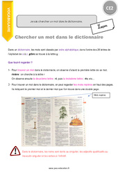 Comment chercher un mot dans le dictionnaire - Cours, Leçon : 5ème Harmos - PDF gratuit à imprimer