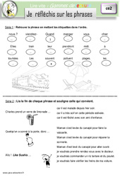 Je réfléchis sur les phrases - Gamme de lecture : 5ème Harmos - PDF à imprimer