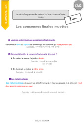 Comment orthographier des mots qui ont une consonne finale muette - Cours, Leçon : 7ème Harmos - PDF gratuit à imprimer