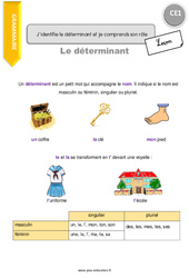 J’identifie le déterminant et je comprends son rôle - Cours, Leçon : 4ème Harmos - PDF gratuit à imprimer