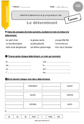 J’identifie le déterminant et je comprends son rôle - Exercices  : 4ème Harmos - PDF à imprimer