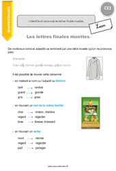 Identifier et reconnaitre les lettres finales muettes - Cours, Leçon : 4ème Harmos - PDF gratuit à imprimer