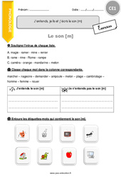 J’entends, je lis et j’écris le son [m] - Exercices  : 4ème Harmos - PDF à imprimer