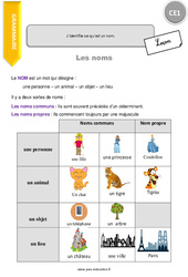 J’identifie ce qu’est un nom - Cours, Leçon : 4ème Harmos - PDF à imprimer