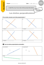 J’identifie et je trace des droites perpendiculaires - Exercices  : 6ème Harmos - PDF à imprimer