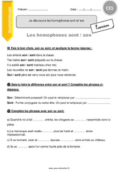 Comment découvrir les homophones sont et son - Exercices avec correction : 4ème Harmos - PDF à imprimer