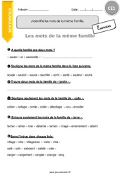 Identifier les mots de la même famille - Exercices avec correction : 4ème Harmos - PDF à imprimer