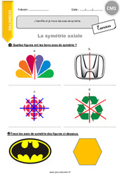 J’identifie et je trace des axes de symétrie - Exercices avec correction : 6ème Harmos - PDF à imprimer