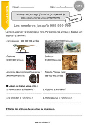 Comparer,  ranger, encadrer, repérer et placer des nombres jusqu’à 999 999 999 - Exercices : 6ème Harmos - PDF à imprimer