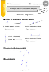 Comment distinguer et tracer une droite et un segment - Exercices avec correction : 5ème Harmos - PDF à imprimer