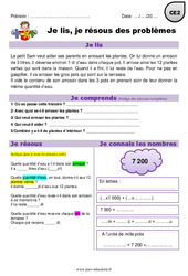 Addition, multiplication, divisions et mesures - Je lis et je résous des problèmes : 5ème Harmos - PDF à imprimer