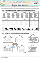 Je joue avec les mots - Gamme de lecture : 6ème Harmos - PDF à imprimer