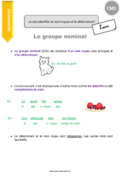 Comment identifier le nom noyau et le déterminant - Cours, Leçon : 6ème Harmos - PDF gratuit à imprimer