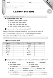 Le pluriel des noms - Examen Evaluation - Bilan : 7ème Harmos - PDF à imprimer