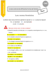 Comment construire les différentes formes de féminins - Cours, Leçon : 7ème Harmos - PDF à imprimer