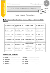 Comment construire les différentes formes de féminins - Exercices  : 7ème Harmos - PDF à imprimer