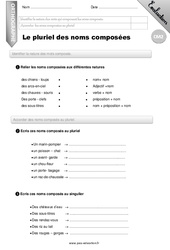 Le pluriel des noms composés - Examen Evaluation - Bilan : 7ème Harmos - PDF à imprimer
