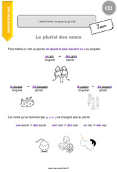 J’identifie les marques du pluriel - Cours, Leçon : 5ème Harmos - PDF gratuit à imprimer