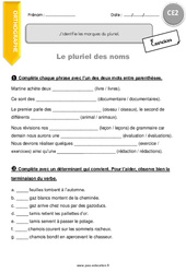 J’identifie les marques du pluriel - Exercices  : 5ème Harmos - PDF à imprimer