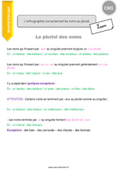 J’orthographie correctement les noms au pluriel - Cours, Leçon : 6ème Harmos - PDF à imprimer