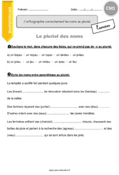 J’orthographie correctement les noms au pluriel - Exercices  : 6ème Harmos - PDF à imprimer