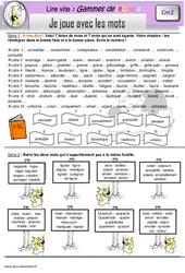 Je joue avec les mots - Gamme de lecture : 7ème Harmos - PDF à imprimer