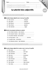 Le pluriel des adjectifs qualificatifs - Examen Evaluation - Bilan : 7ème Harmos - PDF à imprimer