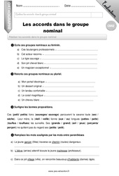 Les accords dans le groupe nominal - Examen Evaluation - Bilan : 7ème Harmos - PDF à imprimer