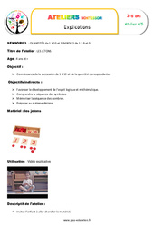 Jetons - Succession de 1 à 10 et de la quantité correspondante : 1ère, 2ème, 3ème, 4ème Harmos - PDF à imprimer<br/>Pack atelier pédagogie Montessori